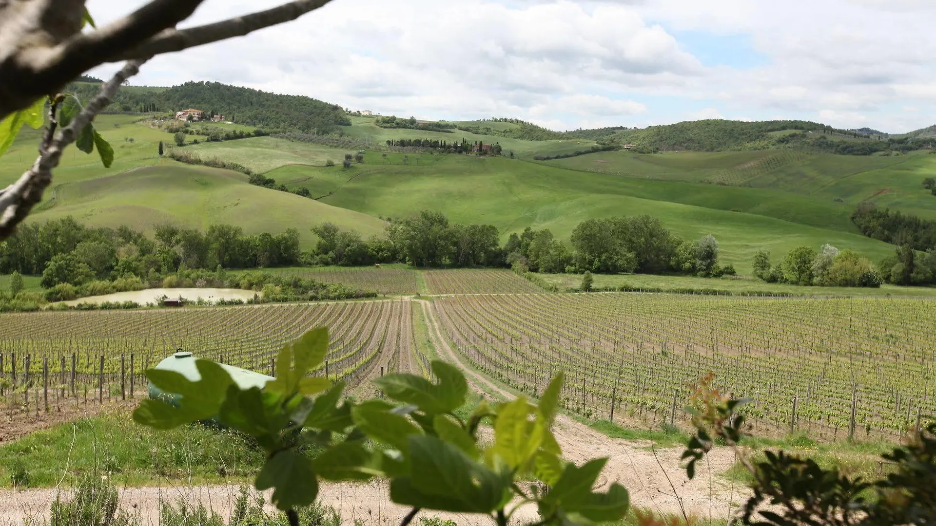 Farm stay Agriturismo San Gallo Villa Montepulciano